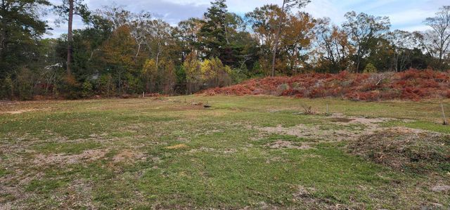 945 S River Rd, Denham Springs, LA 70726