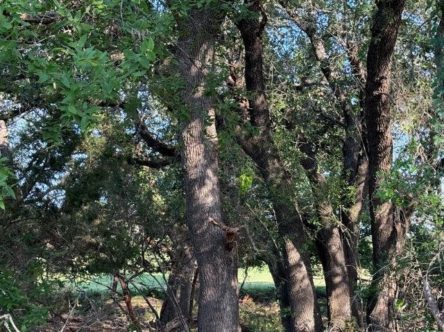 4209 Rockwood DR, Lago Vista, TX 78645