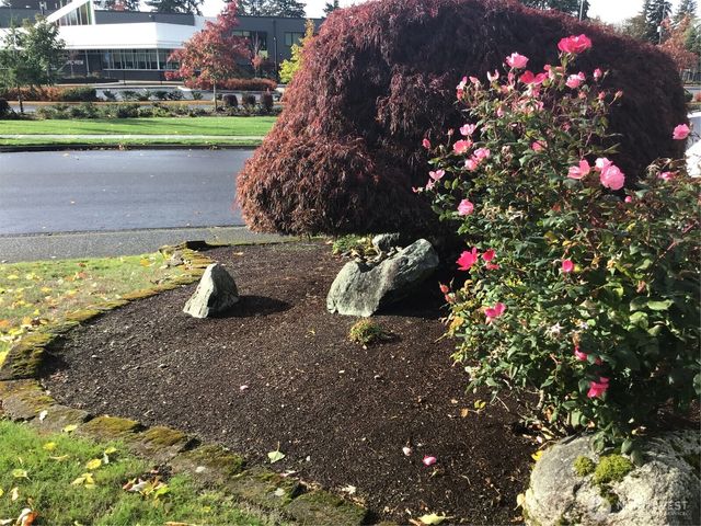 32528 26th Avenue SW, Federal Way, WA 98023