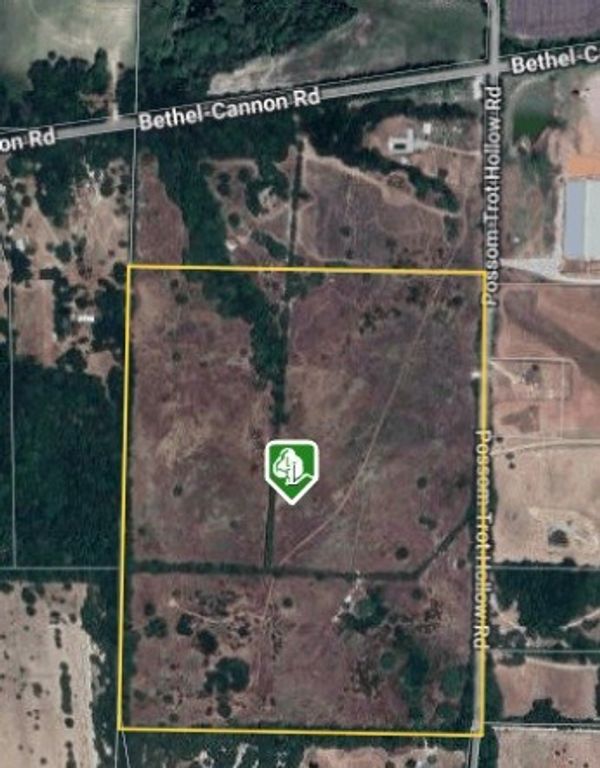 207 Possom Trot Hollow Road, Whitewright, TX 75491