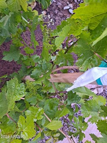 44973 W SANDHILL Road, Maricopa, AZ 85139