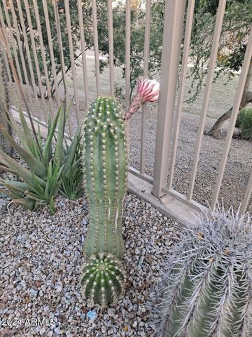 44973 W SANDHILL Road, Maricopa, AZ 85139