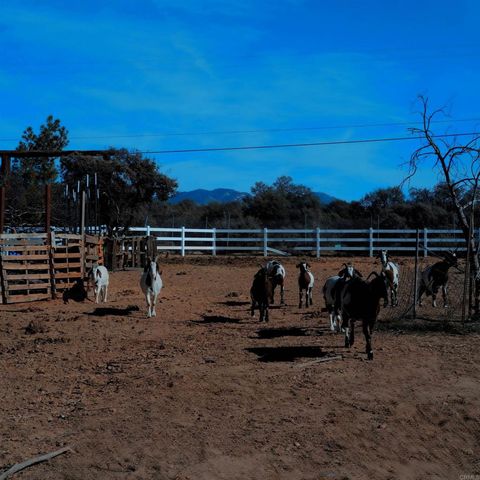 41945 Apple Road, Anza, CA 92539