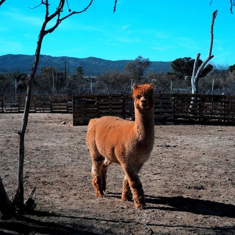 41945 Apple Road, Anza, CA 92539