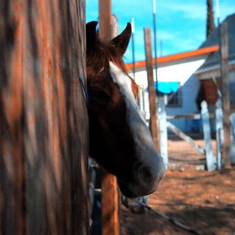 41945 Apple Road, Anza, CA 92539