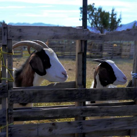 41945 Apple Road, Anza, CA 92539