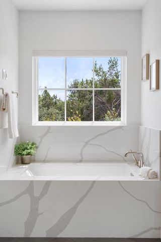 17213 MORNING GROVE LN, Austin, TX 78738