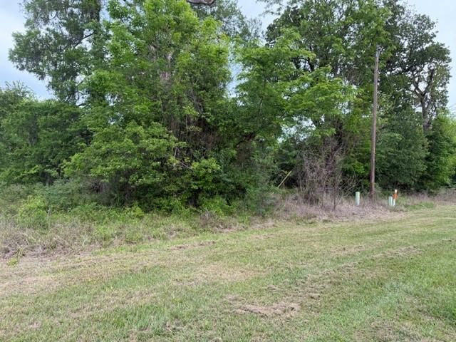 Lot 231 Scenic Woods Drive, Coldspring, TX 77331