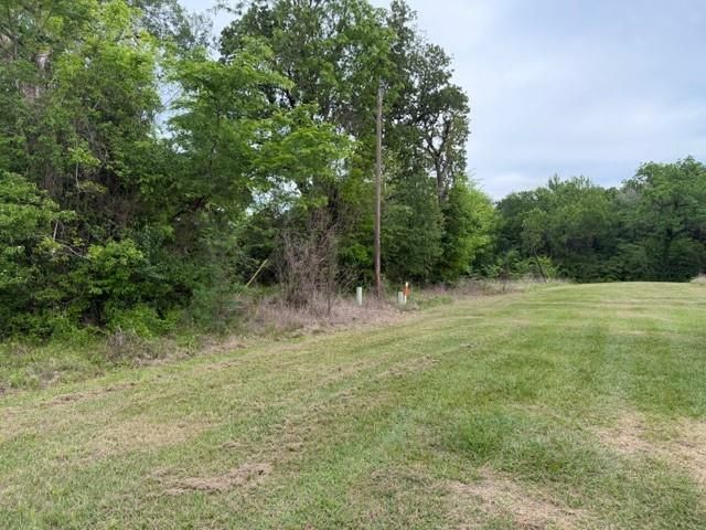 Lot 231 Scenic Woods Drive, Coldspring, TX 77331