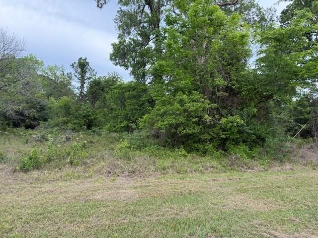 Lot 231 Scenic Woods Drive, Coldspring, TX 77331