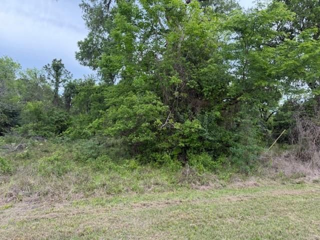 Lot 231 Scenic Woods Drive, Coldspring, TX 77331