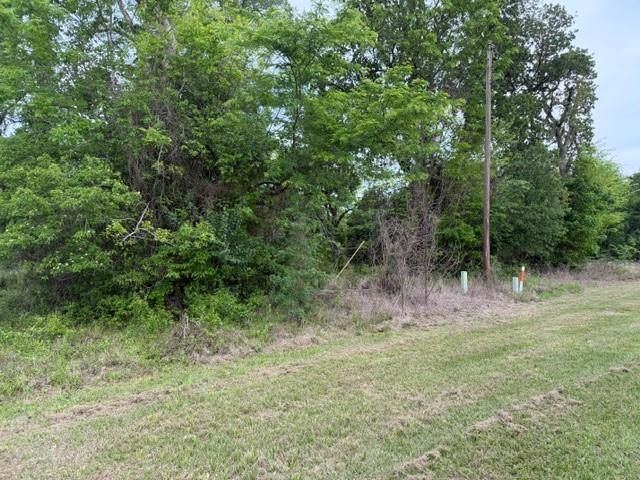 Lot 231 Scenic Woods Drive, Coldspring, TX 77331