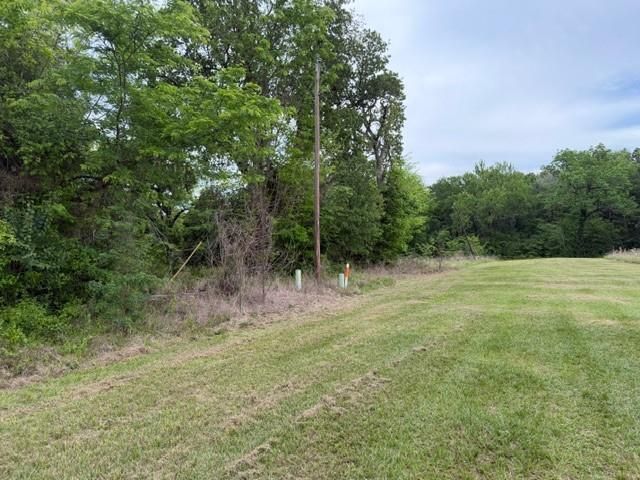 Lot 231 Scenic Woods Drive, Coldspring, TX 77331