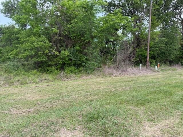 Lot 231 Scenic Woods Drive, Coldspring, TX 77331
