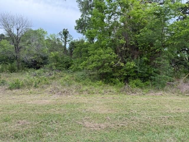 Lot 231 Scenic Woods Drive, Coldspring, TX 77331