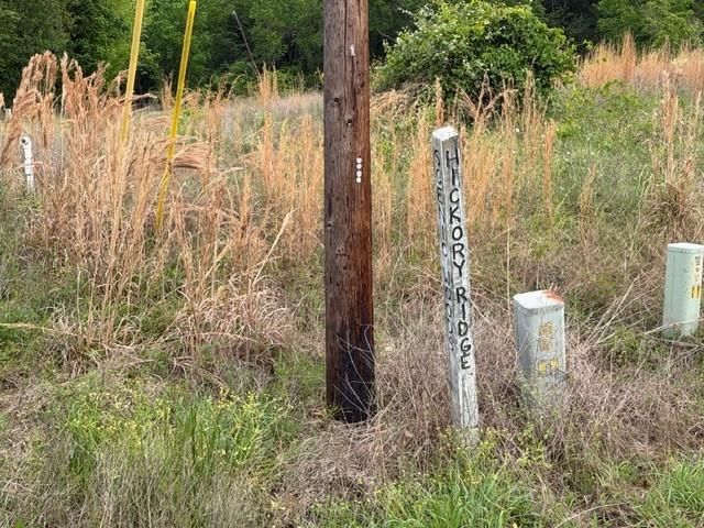 Lot 231 Scenic Woods Drive, Coldspring, TX 77331