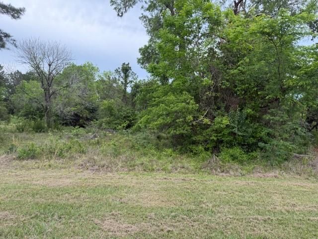 Lot 231 Scenic Woods Drive, Coldspring, TX 77331