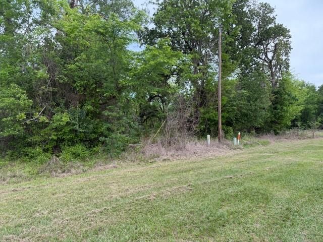 Lot 231 Scenic Woods Drive, Coldspring, TX 77331