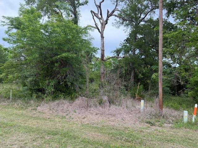 Lot 231 Scenic Woods Drive, Coldspring, TX 77331