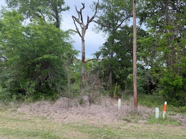 Lot 231 Scenic Woods Drive, Coldspring, TX 77331
