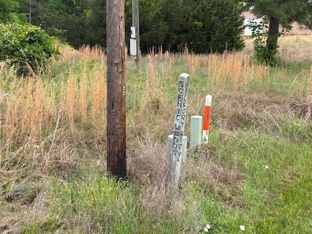 Lot 231 Scenic Woods Drive, Coldspring, TX 77331