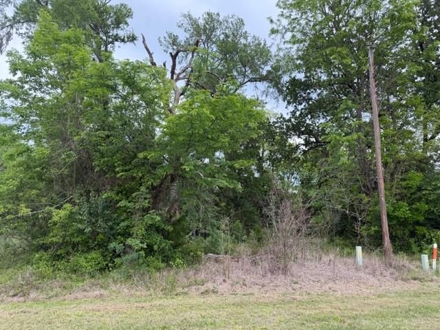 Lot 231 Scenic Woods Drive, Coldspring, TX 77331