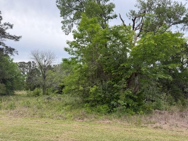 Lot 231 Scenic Woods Drive, Coldspring, TX 77331