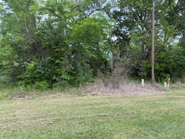 Lot 231 Scenic Woods Drive, Coldspring, TX 77331