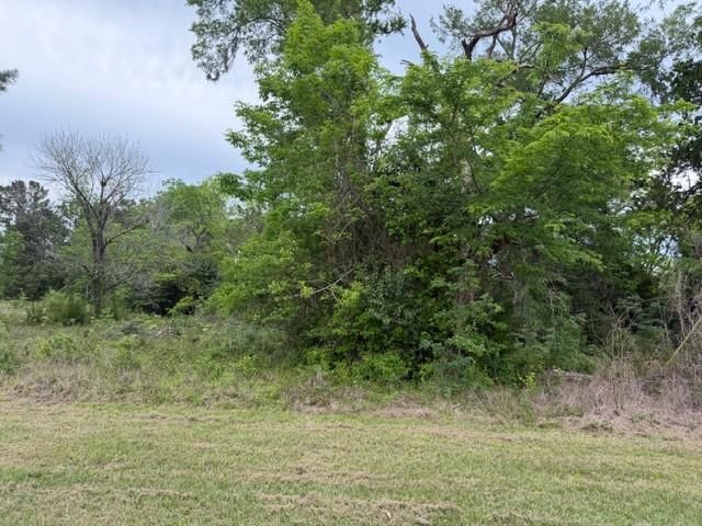 Lot 231 Scenic Woods Drive, Coldspring, TX 77331