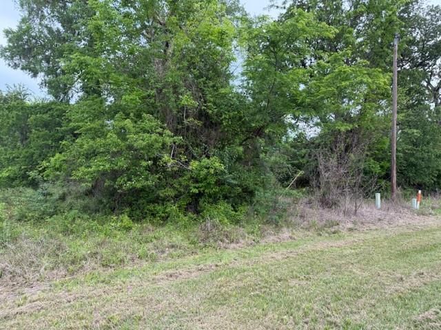 Lot 231 Scenic Woods Drive, Coldspring, TX 77331