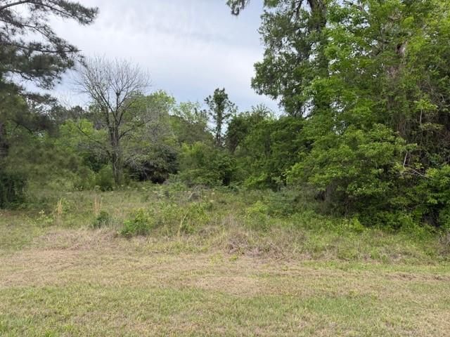 Lot 231 Scenic Woods Drive, Coldspring, TX 77331