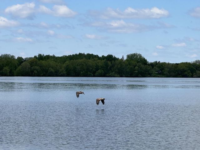 36999 Stanchfield Lake Road NW, Dalbo, MN 55017