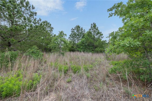 TBD Lot 20c County Rd, Bastrop, TX 78602