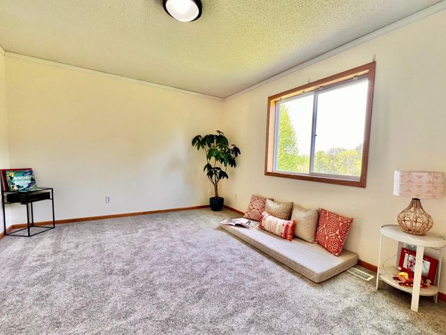 17229 Van Buren Street NE, Ham Lake, MN 55304