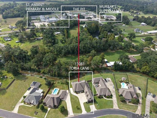 11081 Toria Ln, St Amant, LA 70774
