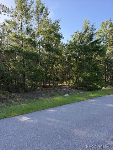 2005 CR 243E, Wildwood, FL 34785