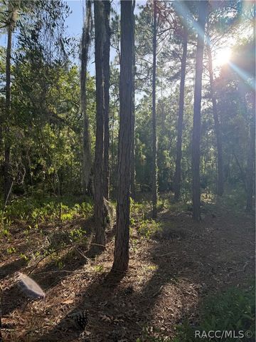 2005 CR 243E, Wildwood, FL 34785