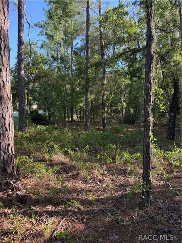 2005 CR 243E, Wildwood, FL 34785