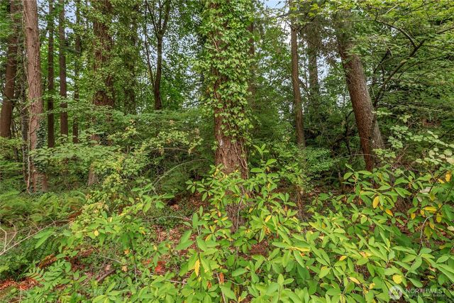 1234 Woodinville Duvall Road, Woodinville, WA 98072