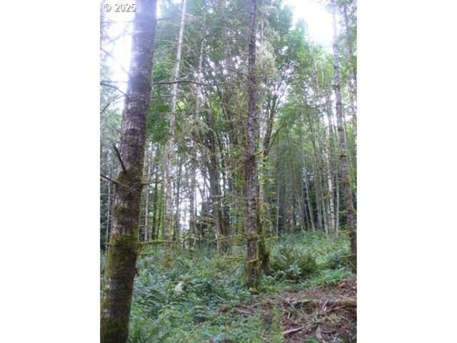 0 Old Rainier Rd, Rainier, OR 97048