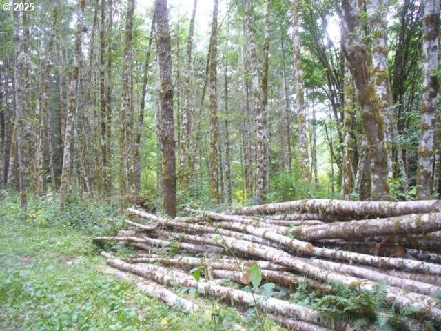 0 Old Rainier Rd, Rainier, OR 97048
