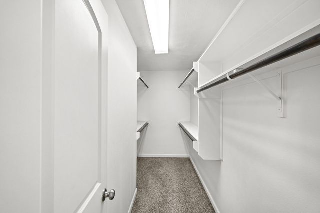 2800 Silver Oak Drive, College Station, TX 77845