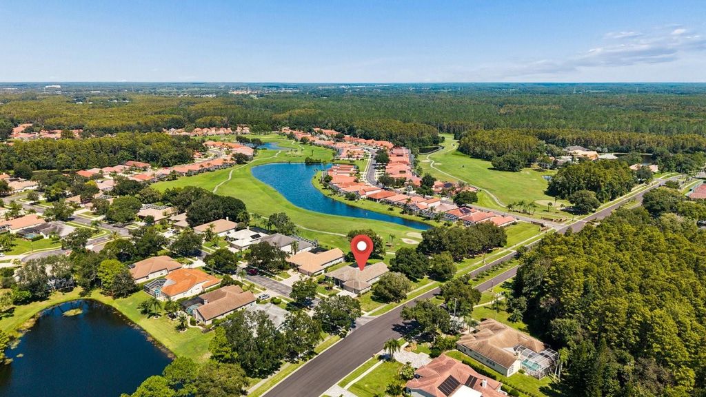 Image 66 of property listing at 1003 KINGS WAY LANE, Tarpon Springs, FL 34688