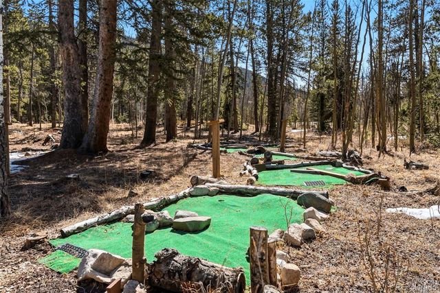 1227 Edgewood Road, Fairplay, CO 80440