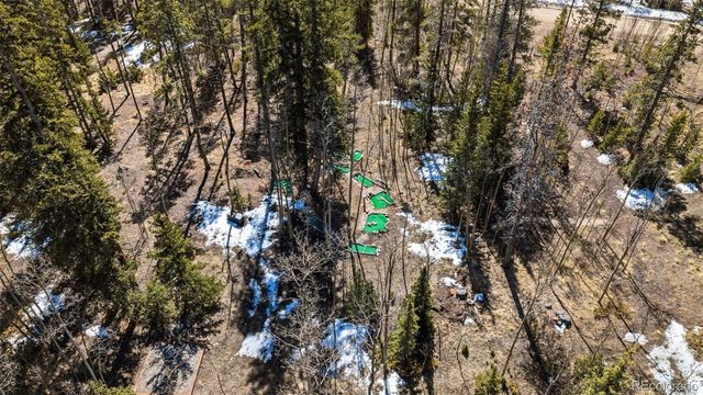 1227 Edgewood Road, Fairplay, CO 80440