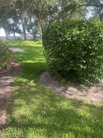 8509 ALEXANDRA ARBOR LANE, Tampa, FL 33637