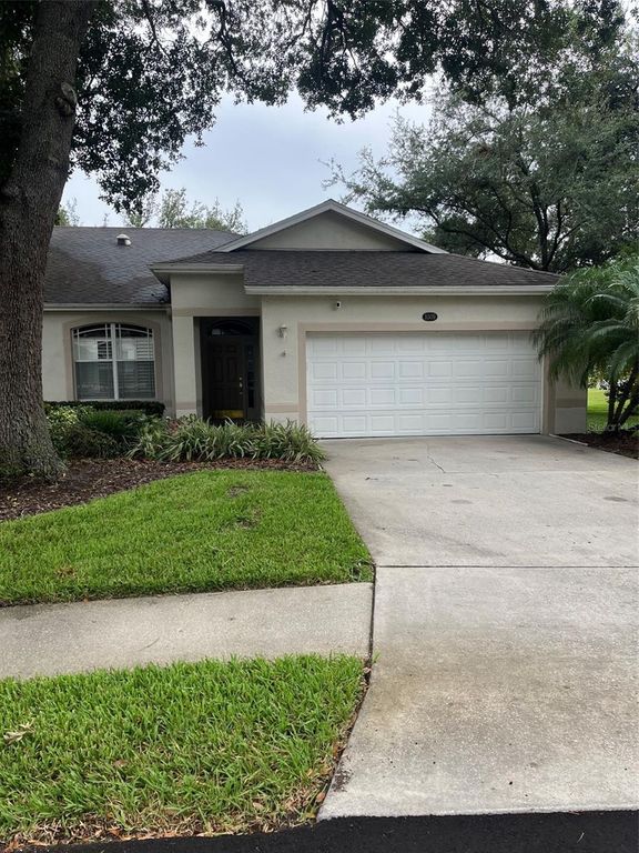 8509 ALEXANDRA ARBOR LANE, Tampa, FL 33637