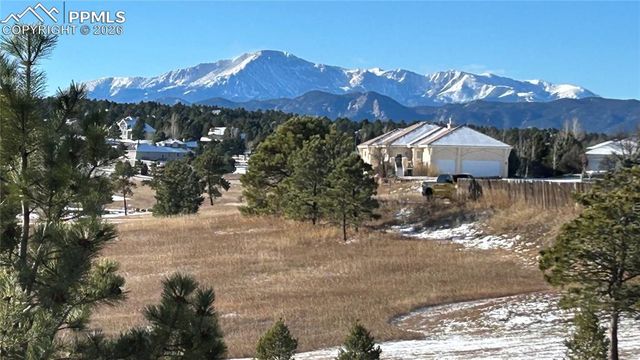 1348 Chapel Royal Court, Monument, CO 80132