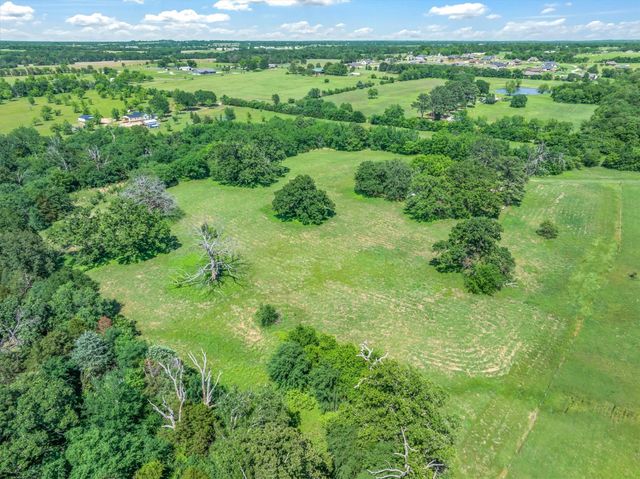 1310 Vz County Road 2135, Canton, TX 75103