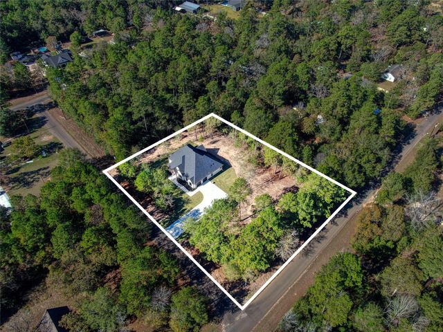 16081 Barn Owl Lane S, Plantersville, TX 77363